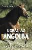 Seg�ts�g a nyelvtanul�shoz